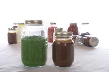 BasilPesto